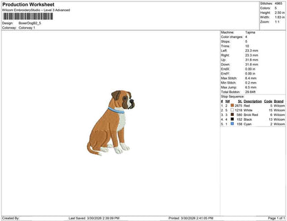 Boxer Dog B