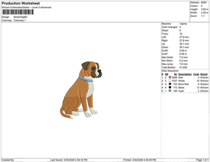 Boxer Dog B