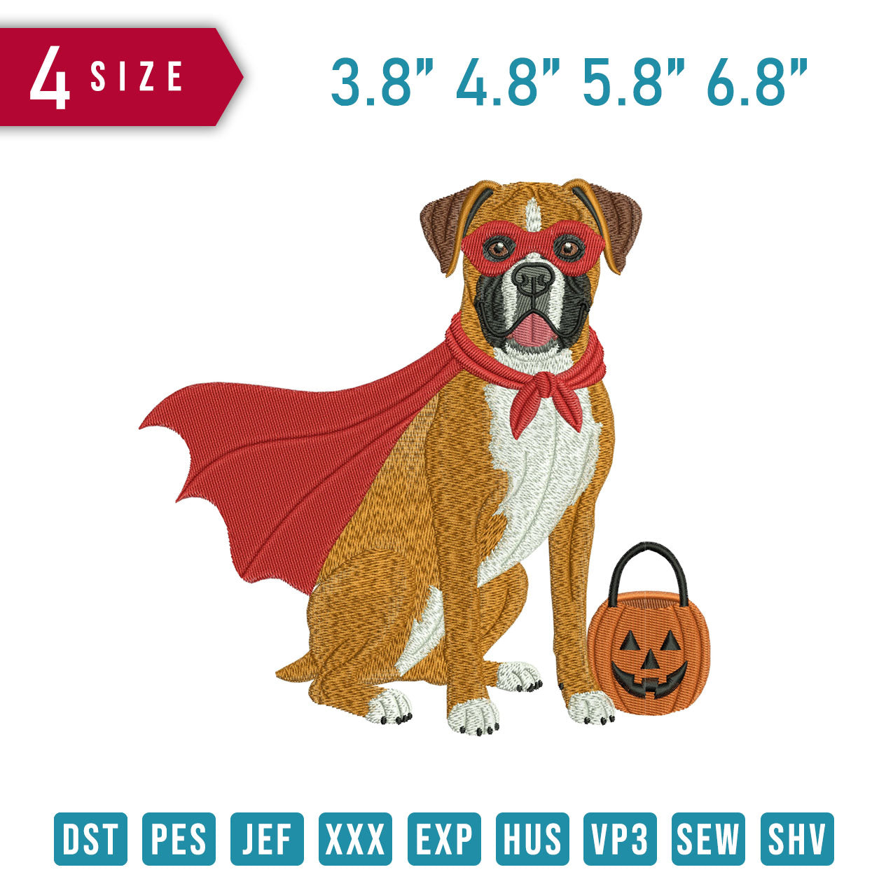 Boxer Dog Pumpkin B
