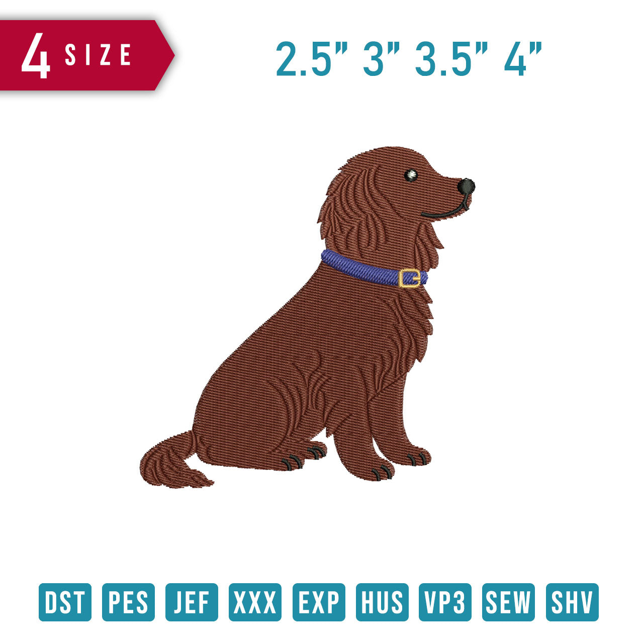 Boykin Spaniel