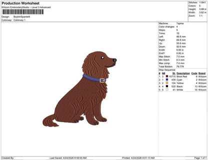 Boykin Spaniel