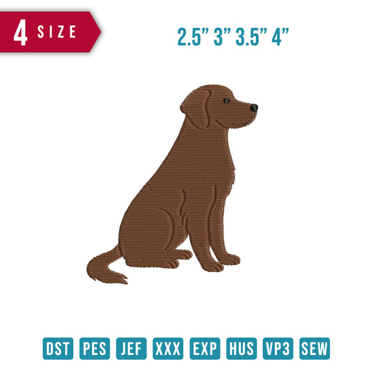 Brown Dog B