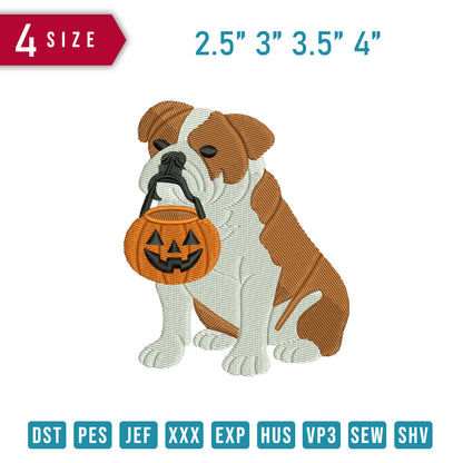 Bulldog Halloween Pumpkin