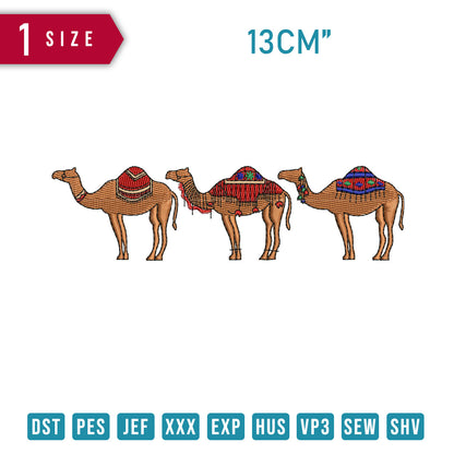 Camels