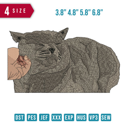 Cat Amused