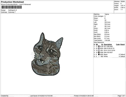 Cat Angry