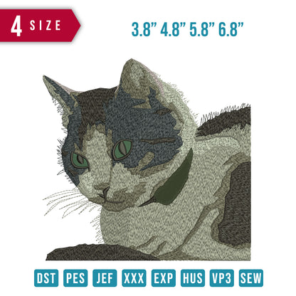 Cat B