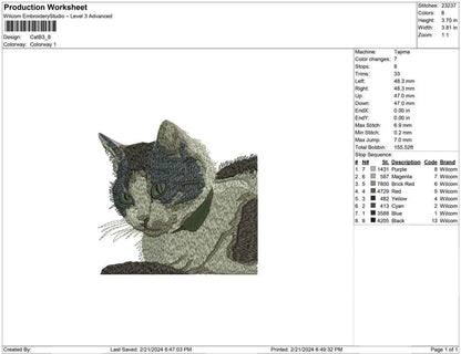 Cat B
