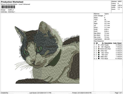 Cat B