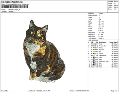 Cat black orange