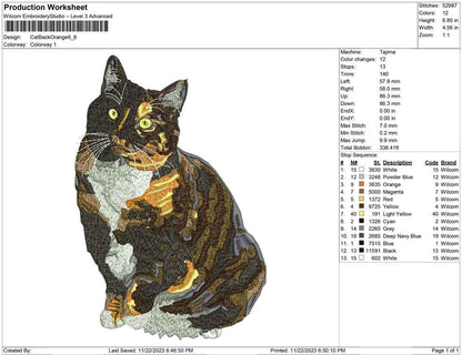 Cat black orange
