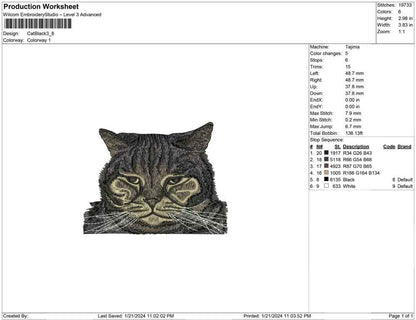 Cat Black