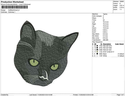 Cat Black Grey
