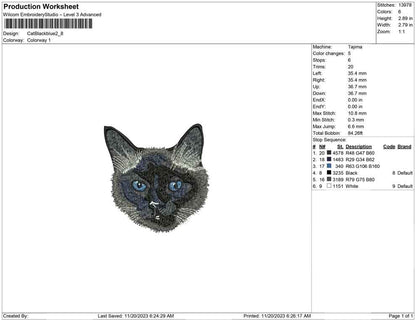 Cat Black blue