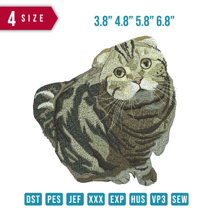 Cat Fat Funny