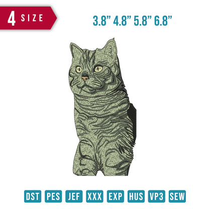 Cat Gawking