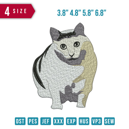 Cat Glared