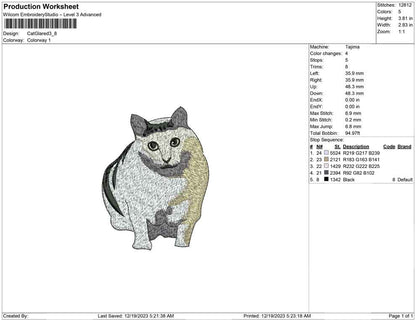 Cat Glared