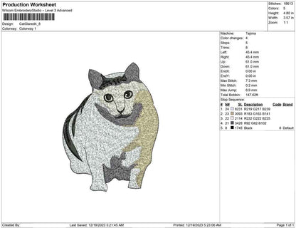 Cat Glared