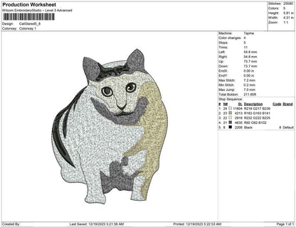 Cat Glared