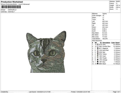 Cat Grey B