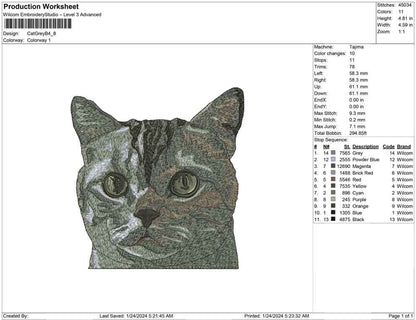 Cat Grey B