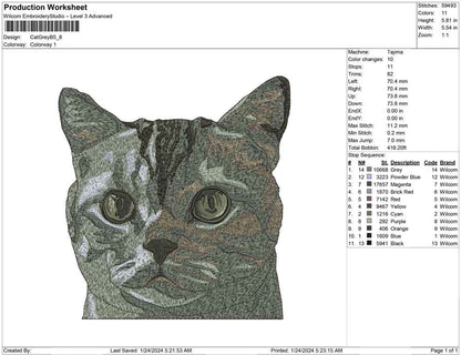 Cat Grey B