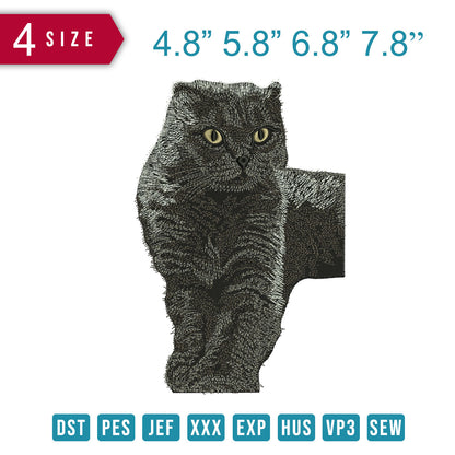Cat Grey Funny