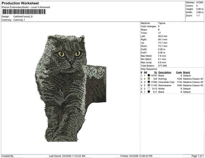 Cat Grey Funny