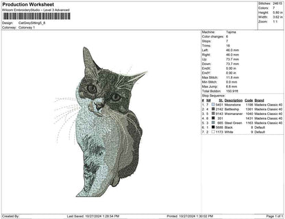 Cat Grey Sitting