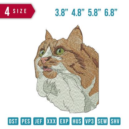 Cat Hansome