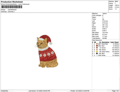 Cat Hat Santa