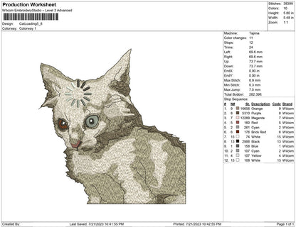 Cat Loading