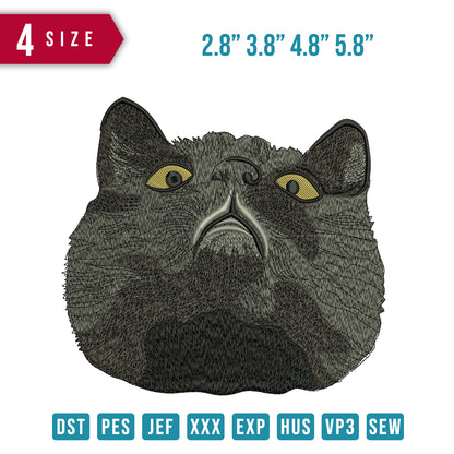 Cat looked up