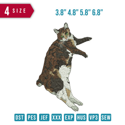 Cat Lying