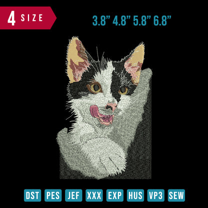 Cat On Pocket
