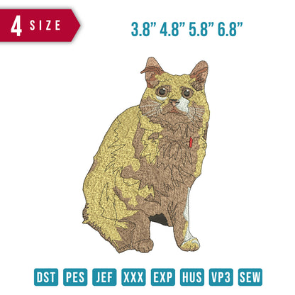Cat orange