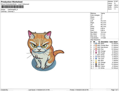 Cat Orange B