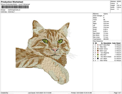 Cat Orange Cute