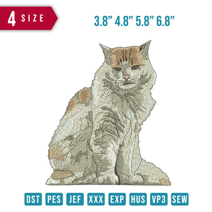 Cat pose