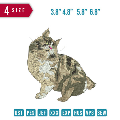Cat Funniest