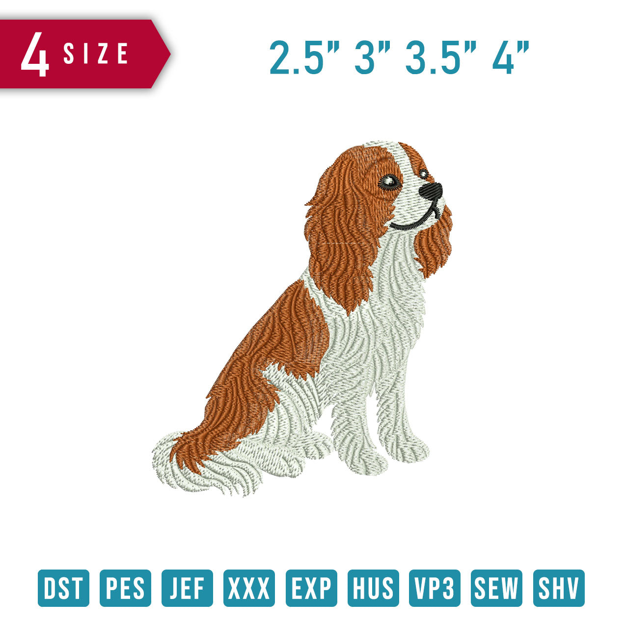 Cavalier King Charles Spaniel