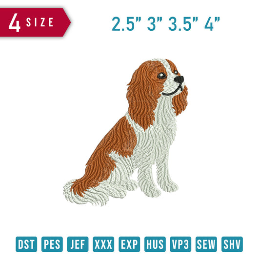 Cavalier King Charles Spaniel