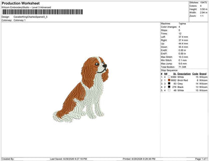 Cavalier King Charles Spaniel