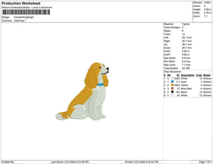 Cavalier King Dog