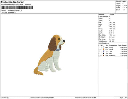 Cavalier King Dog