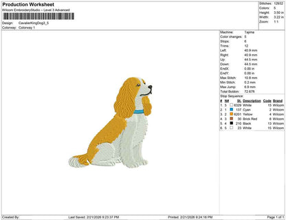 Cavalier King Dog
