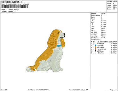 Cavalier King Dog