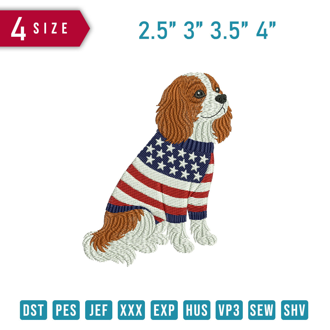 Cavalier Wearing Usa Sweater