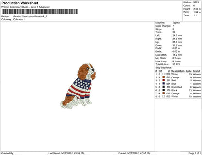 Cavalier Wearing Usa Sweater